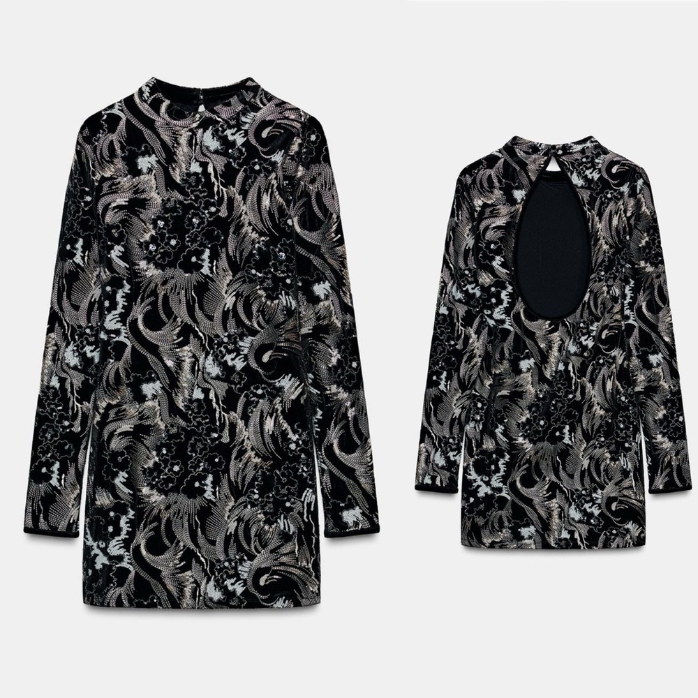 Zara Embroidered Velvet Dress Black NWT long sleeve small medium whimsgoth